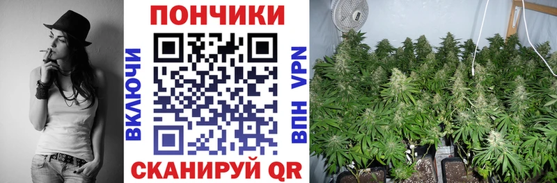 Бошки марихуана ГИДРОПОН  Купить  Вуктыл 